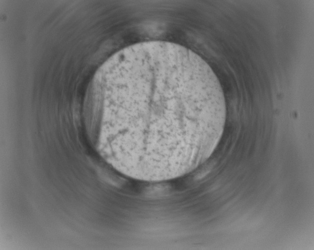 X0000077350274200611101621