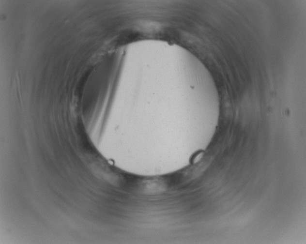 X0000077350275200611101621