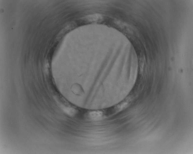 X0000077350279200611101621