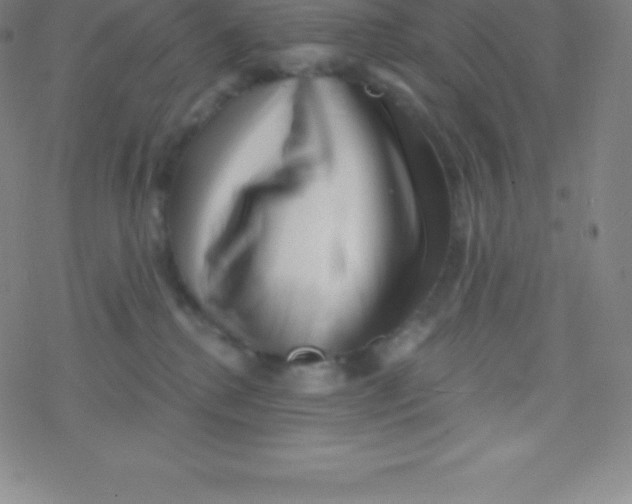 X0000077350280200611101621