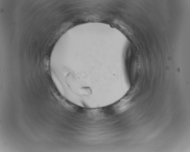 X0000077350281200611101621