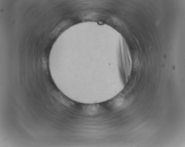 X0000077350282200611101621