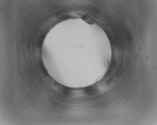 X0000077350283200611101622