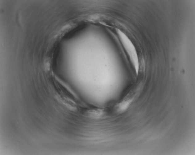 X0000077350284200611101622