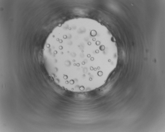 X0000077350285200611101622