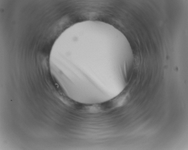 X0000077350286200611101622