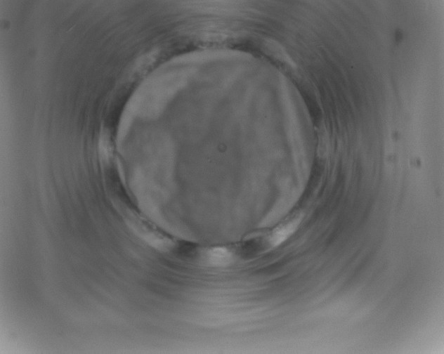 X0000077350287200611101622