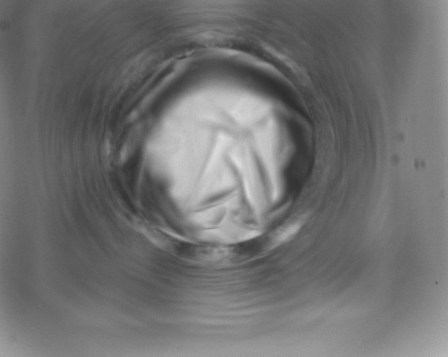 X0000077350288200611101622