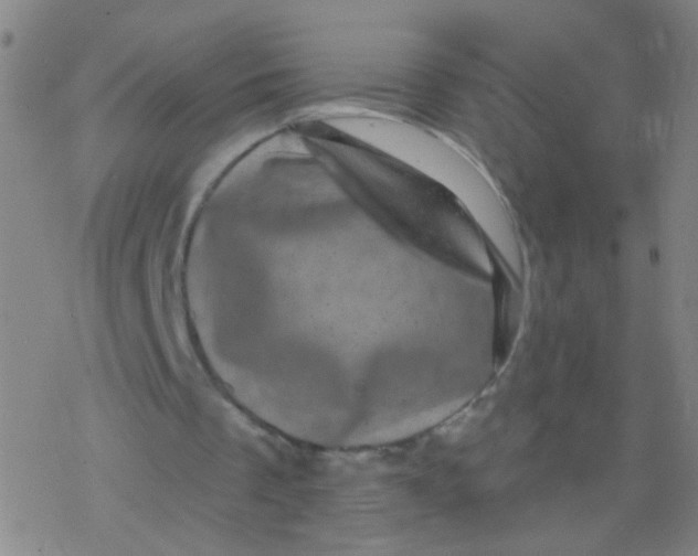 X0000077350289200611101621