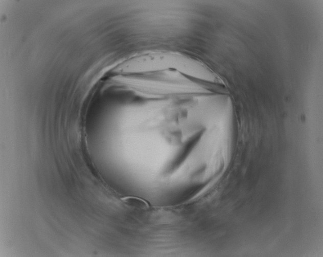 X0000077350290200611101621