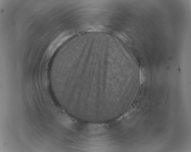 X0000077350291200611101621