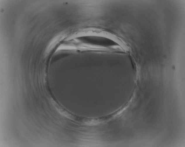 X0000077350293200611101621