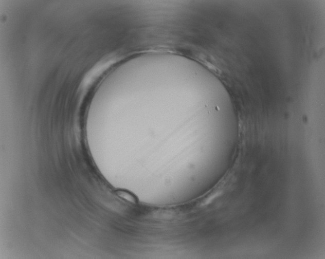 X0000077350294200611101621