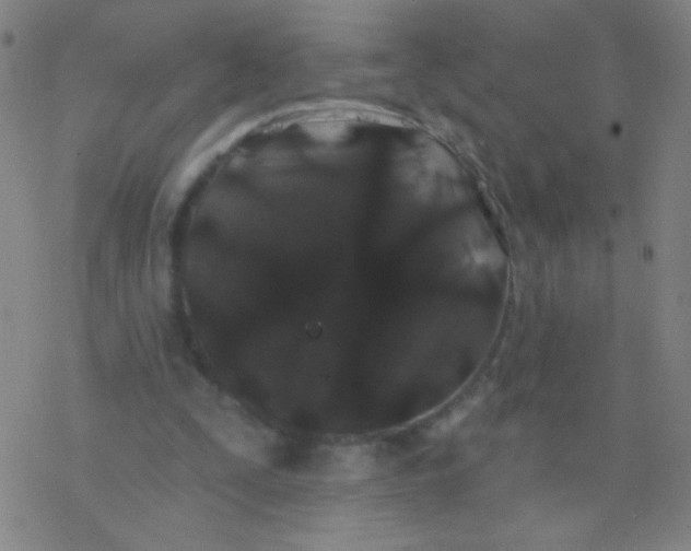 X0000077350295200611101621