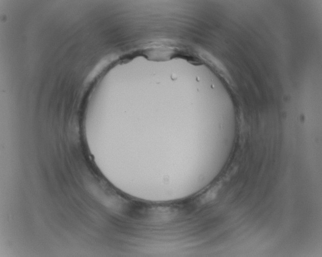 X0000077350298200611101621