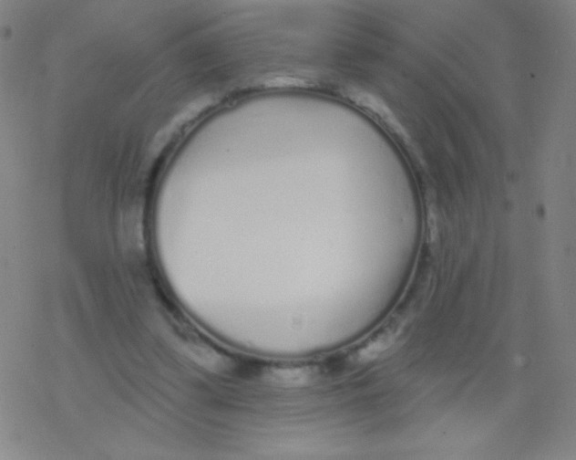 X0000077350299200611101621