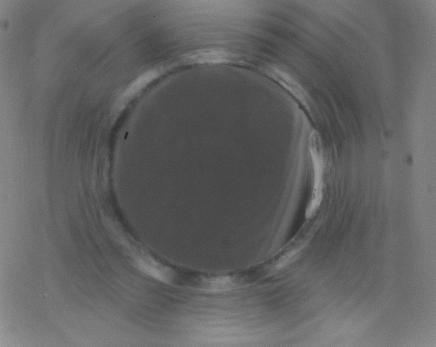 X0000077350301200611101621