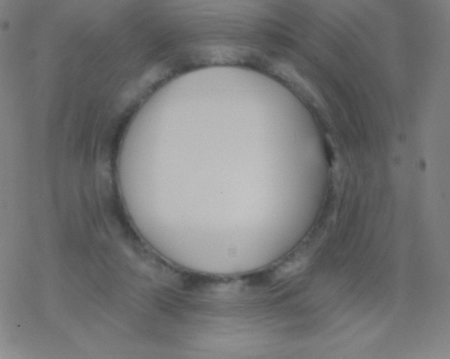 X0000077350306200611101621