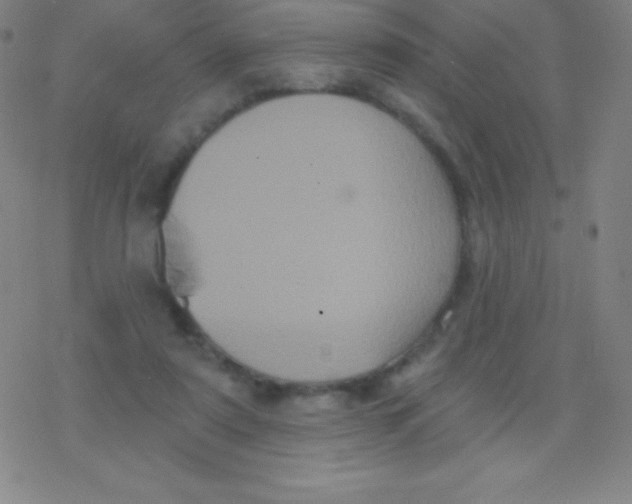 X0000077350307200611101621