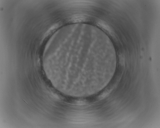 X0000077350308200611101620