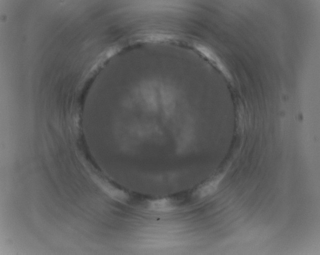 X0000077350309200611101620