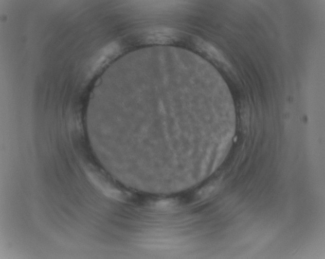 X0000077350312200611101620