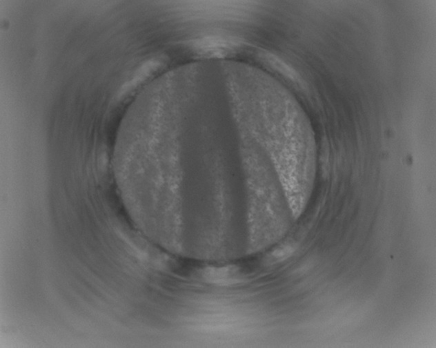 X0000077350314200611101620