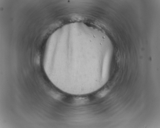 X0000077350315200611101620