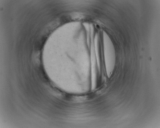 X0000077350319200611101620