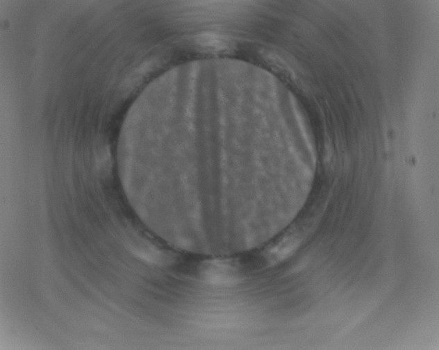 X0000077350320200611101620