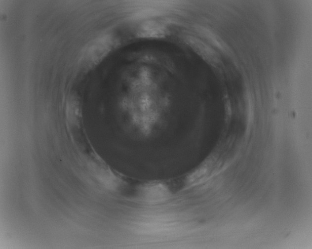 X0000077350322200611101620