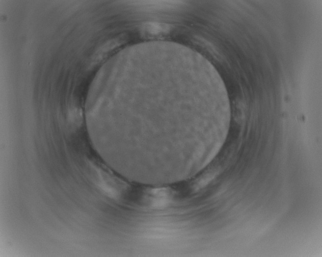 X0000077350324200611101620