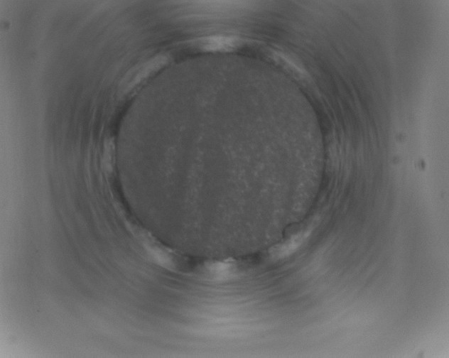 X0000077350325200611101620