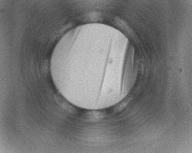 X0000077350326200611101620