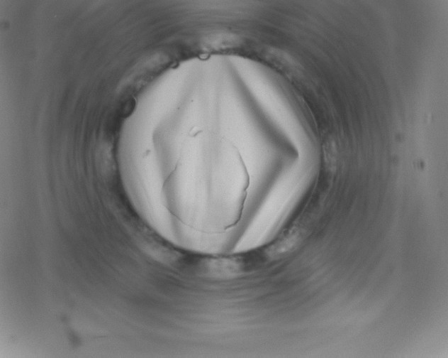 X0000077350327200611101620