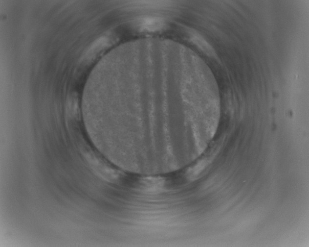 X0000077350328200611101620