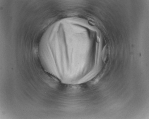 X0000077350329200611101620