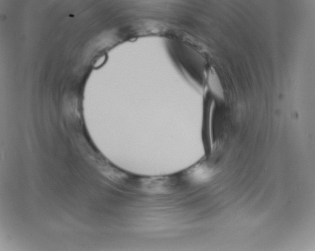 X0000077350331200611101620