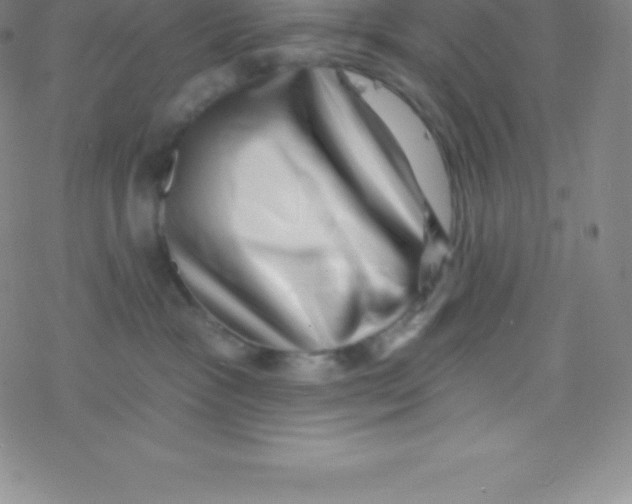 X0000077350333200611101620