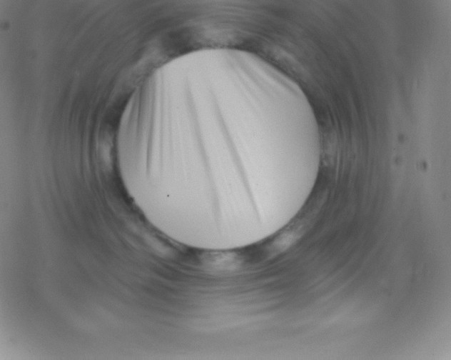 X0000077350334200611101620