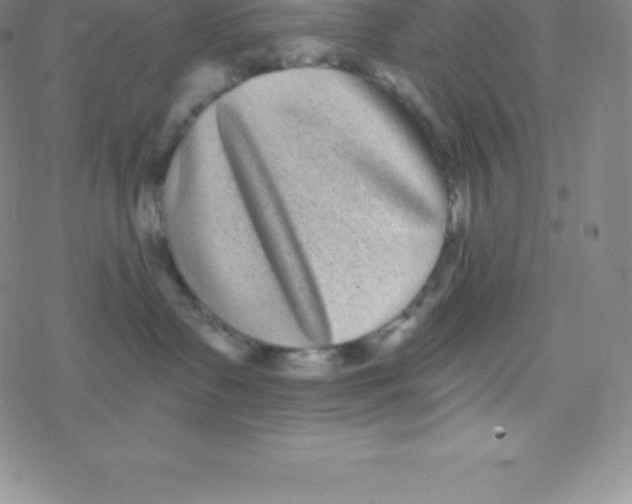 X0000077350335200611101620