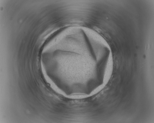 X0000077350338200611101619