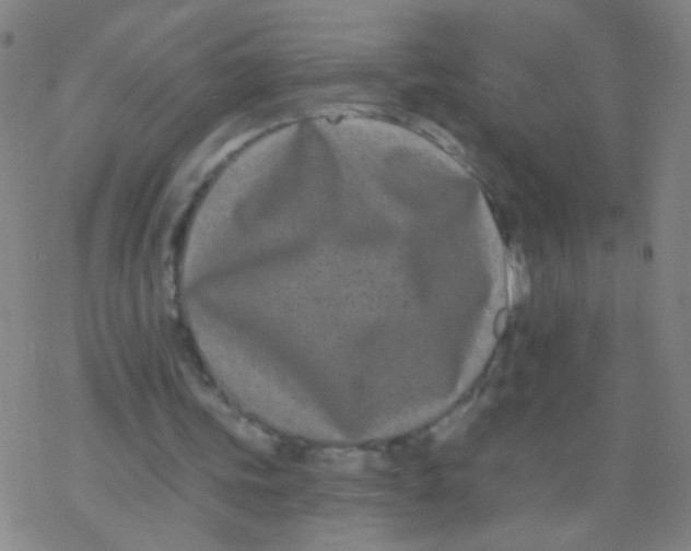 X0000077350339200611101619