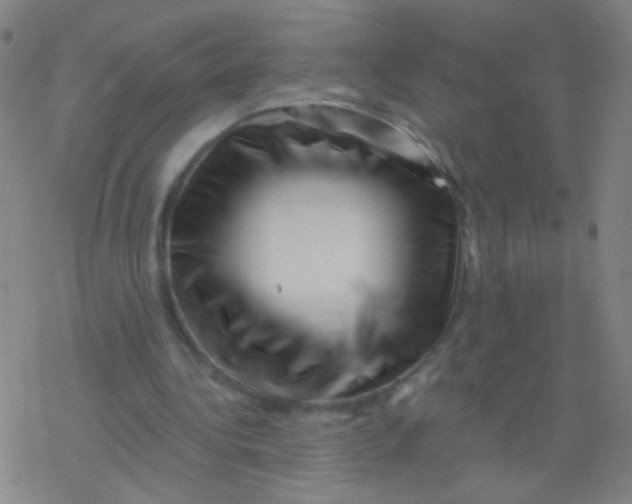 X0000077350340200611101619