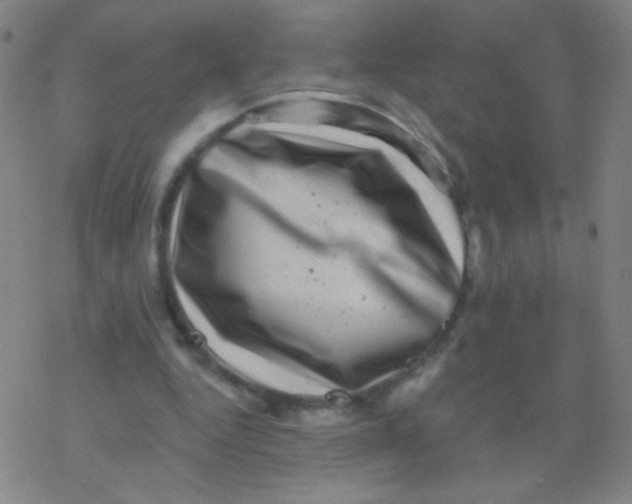 X0000077350344200611101619