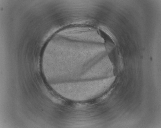 X0000077350346200611101619