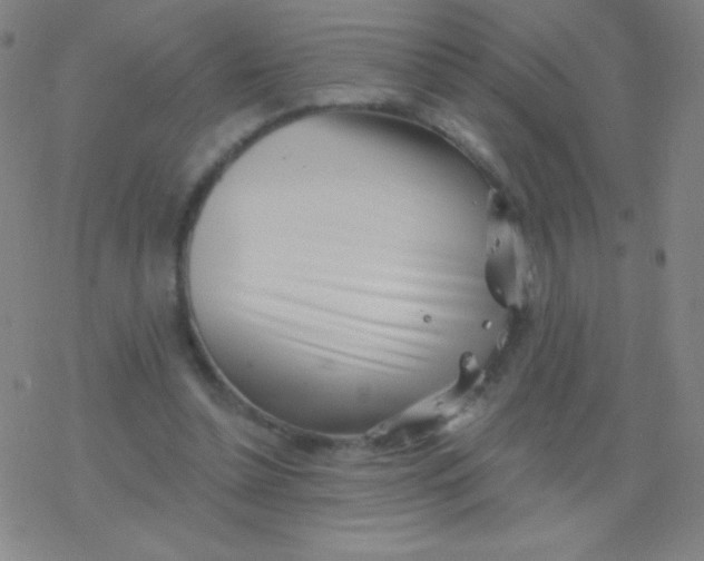 X0000077350348200611101619