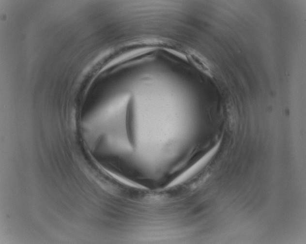 X0000077350350200611101619