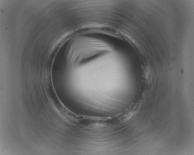 X0000077350352200611101620