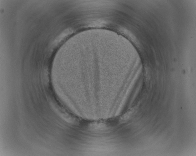 X0000077350354200611101620